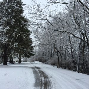 Meet your Posher, Lindsey